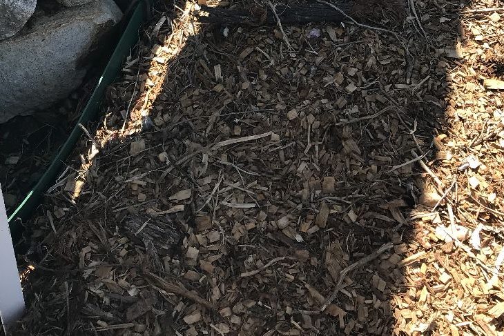 Property Boundaries and Fences