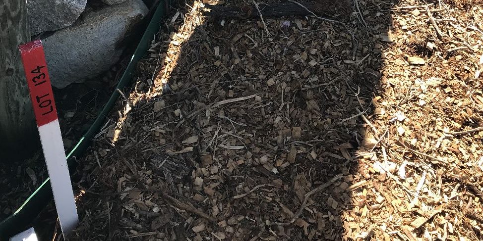 Property Boundaries and Fences