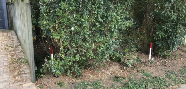 pegs at boundary line