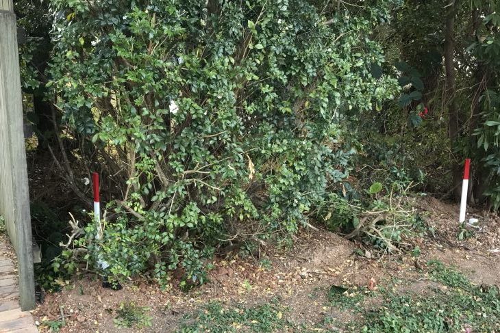 pegs at boundary line