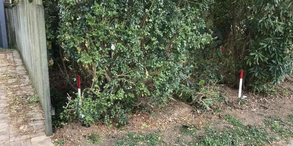 mainimage identificationsurvey pegs at boundary line